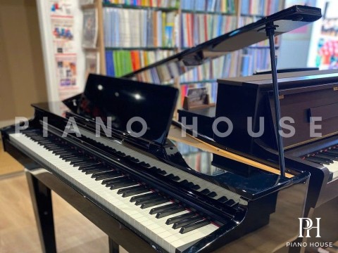 ROLAND GP-6 PE (Used)