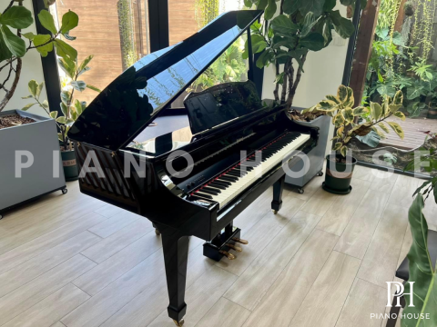 ROLAND RG-3F PE