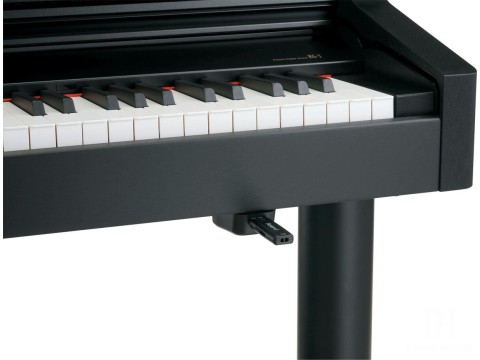 Roland RG-1F PE