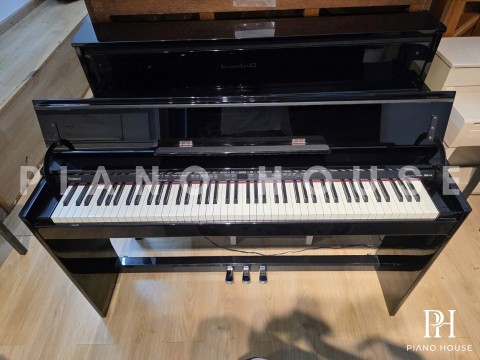 ROLAND DP-990R PE