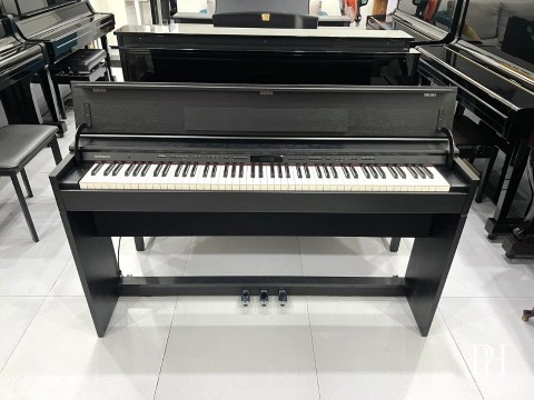 ROLAND DP-603 CBS (New)