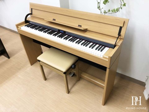ROLAND DP-603 NBS