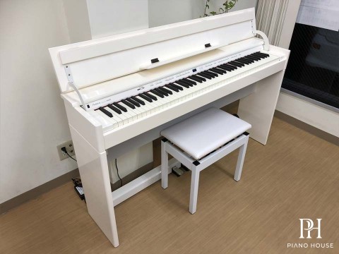 Trải Nghiệm ROLAND DP-90Se PWS