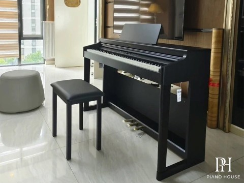 ROLAND RP-107