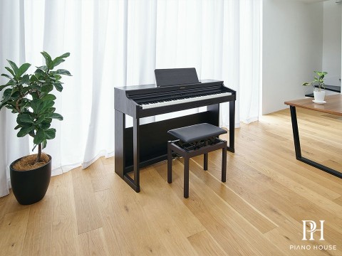 ROLAND RP-701 CB