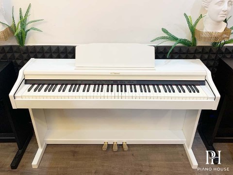 ROLAND RP-501R WH
