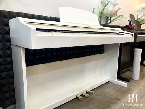 ROLAND RP-501R WH