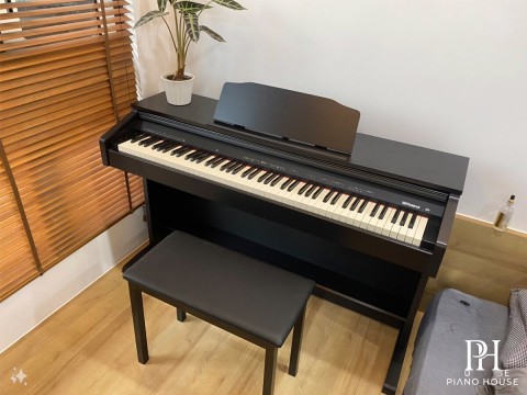 ROLAND RP-30