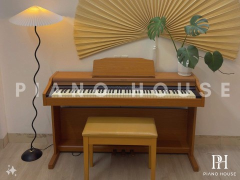 ROLAND RP-401 LW