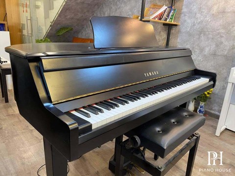 YAMAHA DGP1