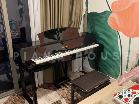 YAMAHA DGP-5