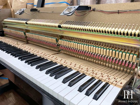 YAMAHA DUP-10 B