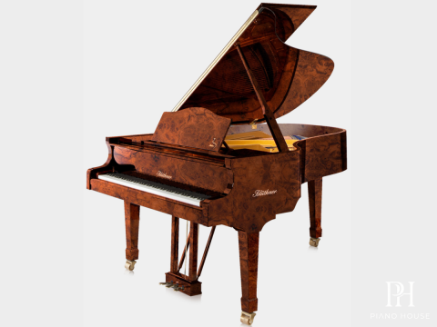 Blüthner Model 6