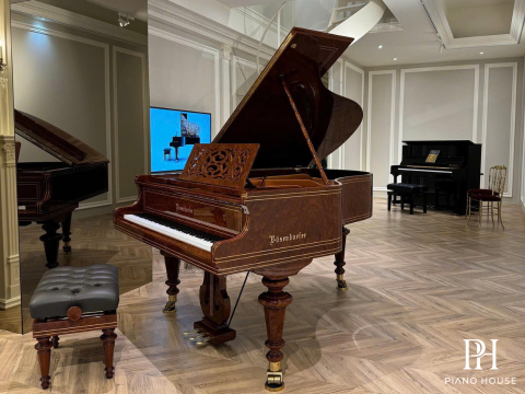 [Ultimate Designed] LISZT