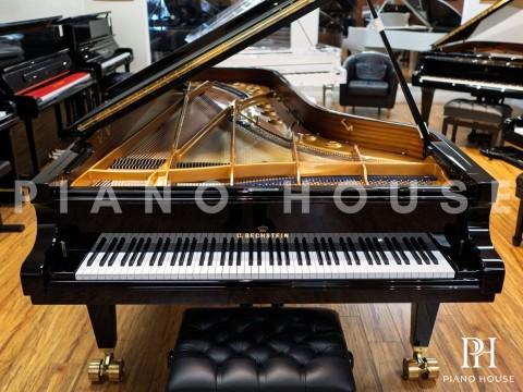 C.Bechstein Concert D282