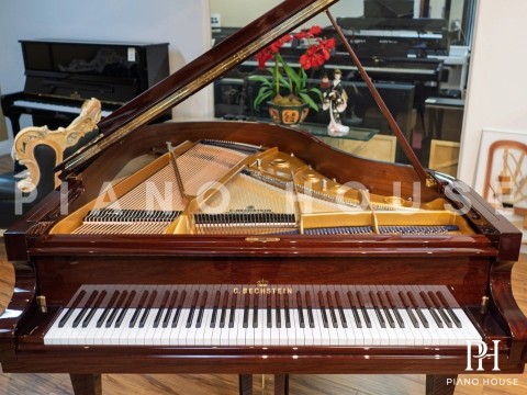 C.Bechstein Concert L167 (Mahogany with Brass)