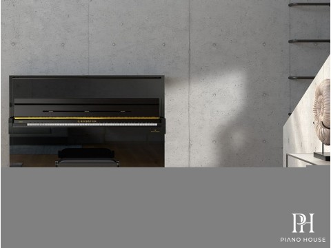 A4 (C.Bechstein Academy)