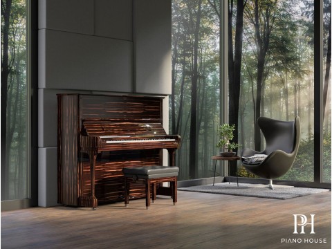 C.Bechstein C8 Black Polisted