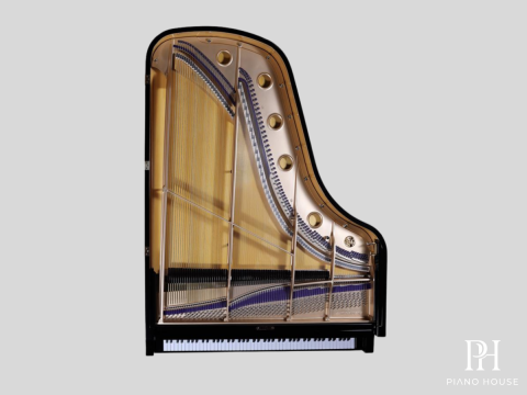 THE PARLOR GRAND CM//200