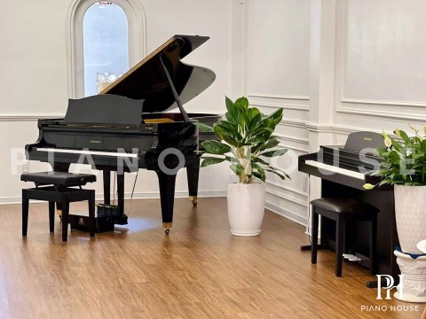 DIAPASON 210E