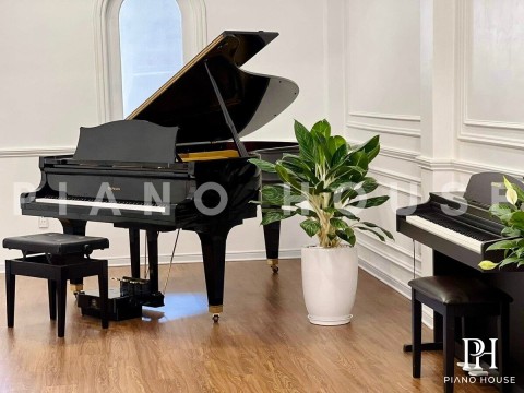 DIAPASON 210E