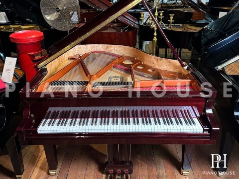 FEURICH 162 - 