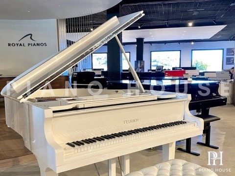 FEURICH 162 - 