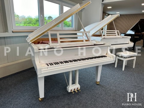 FEURICH 162 - "DYNAMIC I" (White Polish & Brass)