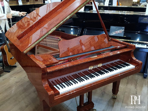 Gebr.Perzina GP186 Bubinga Wood Polyester