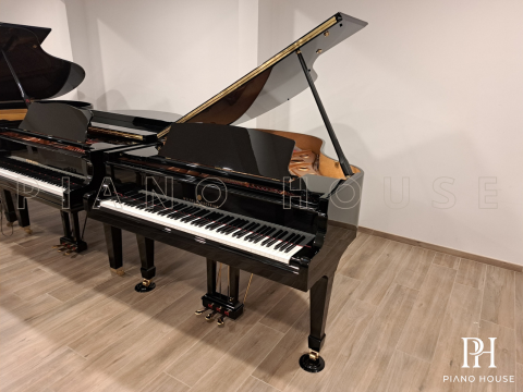 Wilhelm Grotrian WGS165