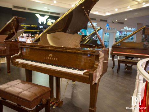 Steiner GP-152 Walnut Self-Playing