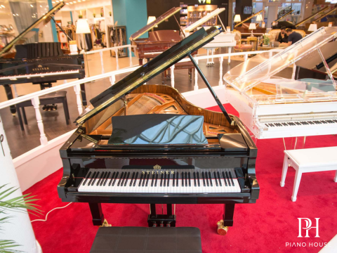 Steiner GP-231 Self-Playing