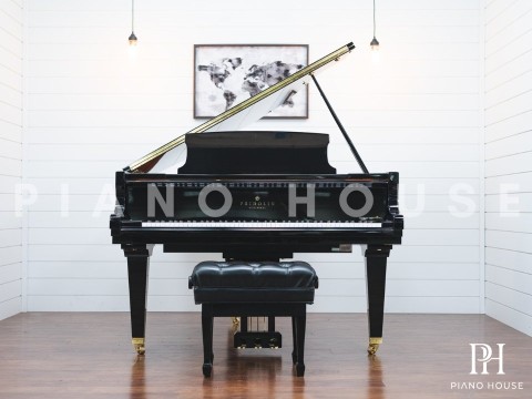 Fridolin Schimmel F156 Tradition (Ebony High Gloss)