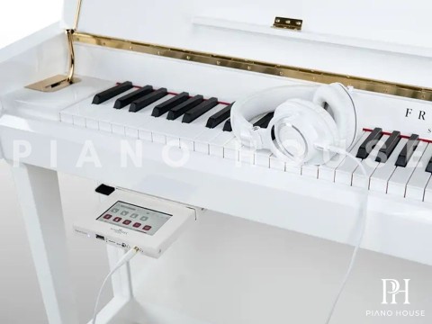 Schimmel TwinTone