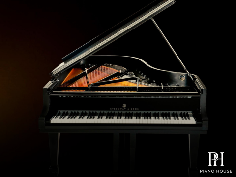 Steinway & Sons - The Jet Noir