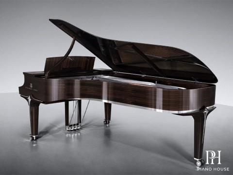 Steinway & Sons Black Dimond model D