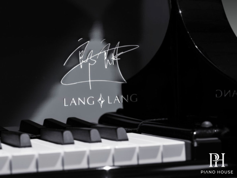 Steinway & Sons Black Dimond model B