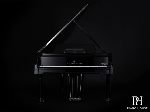 Steinway & Sons Gran Nichetto (The Black Polished)