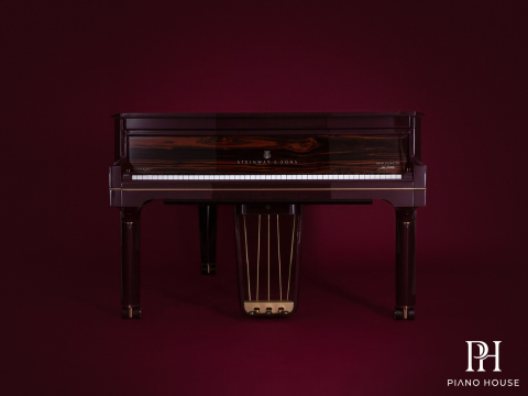 Steinway & Sons Gran Nichetto (The Midnight Red)