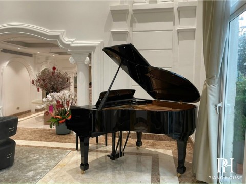 T161 (W.HOFFMANN TRADITION)
