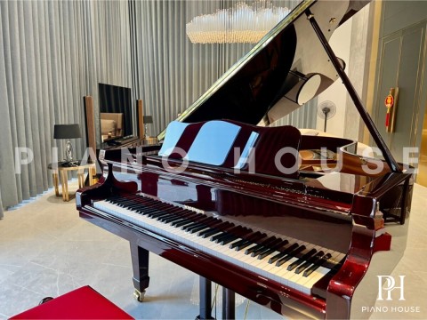 V183 (W.HOFFMANN VISION)