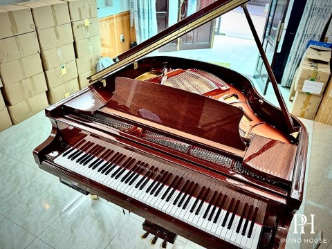 Wendl & Lung Mod.151 Mahogany - Silent
