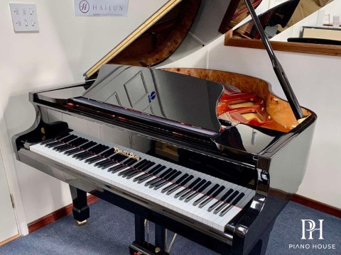 Wendl & Lung Mod.161 Professional I