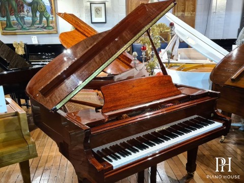 Wendl & Lung Mod.161 Professional I Mahogany