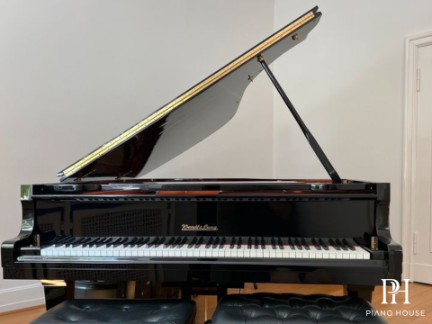 Wendl & Lung Mod.218 Concert I