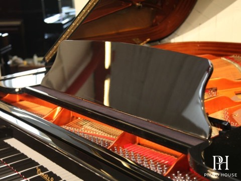 Wendl & Lung Mod.178 Professional II