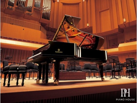 YAMAHA CFX (2010)