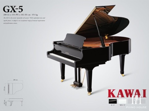 KAWAI GX5