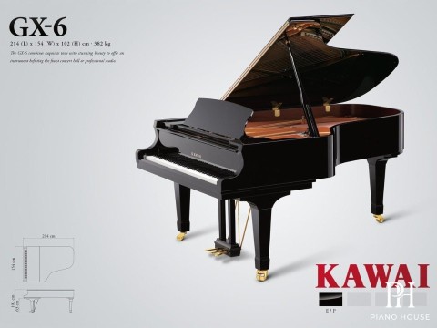 KAWAI GX6