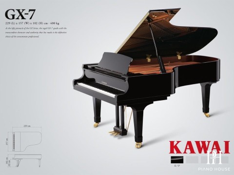KAWAI GX7